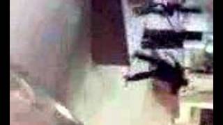 Chaz lipslide
