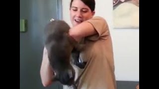 Cats Excited To See Their Returning Veterans Back Home