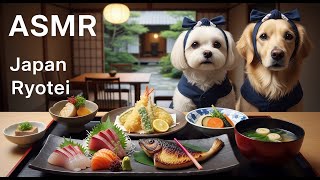 【ASMR】Artisan Dogs' High-End Japanese Food! Tempura & Sushi Sounds . #Ryotei #Munching #Dogs