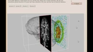 Structural Brain Connectivity Explorer