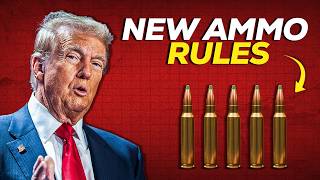 Breaking: New Federal Court Ruling Shakes 2A – 10 Ammo Rules Gun Owners Must Know