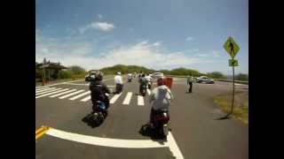 Intense Breed Imports March Cruise