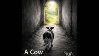 A Cow - Turn. - 1. Found.