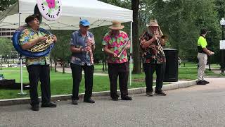 New Magnolia jazz at Boston Common