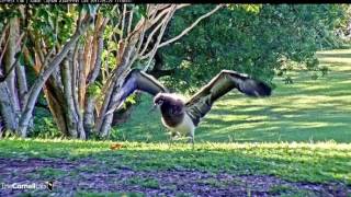 20170529 Kalama Flight Practice