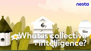 What is collective intelligence? | Nesta
