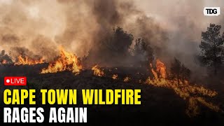 Cape Town wildfire LIVE: Strong Winds Reignite Cape Town Wildfire as Firefighting Struggle