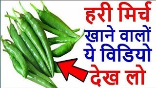 हरी मिर्च खाने वालों ये विडियो जरूर देख लो आपका दिमाग चकरा जायेगा इतने फायदे जानकार1