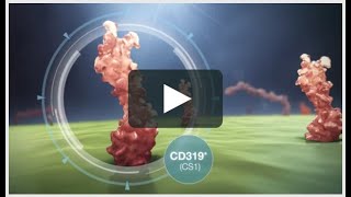 3D Impact | Visual Option for 3D Medical Animation