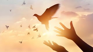A NIGHT OF HEALING AND MIRACLES