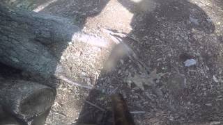 Teepees 4 barrel cam