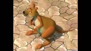 Honk Toot and Swoosh Swoosh Kangaroo