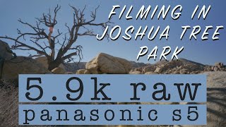 Filming in Joshua Tree Park / 5.9K Raw Panasonic Lumix S5