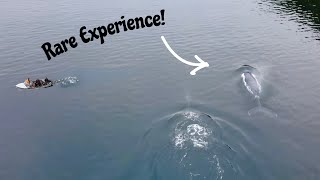 Deep Sea Cod Fishing While Surrounded by GIANT Humpback Whales ! ( Scenic Newfoundland ) 