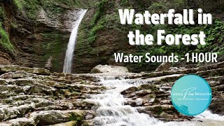 Waterfall in the forest - Relax to Flowing Water Sounds and Peaceful Scenery for 1 HOUR