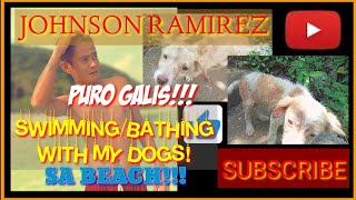 SWIMMING/BATHING WITH MY DOGS AT THE BEACH | PURO GALIS!!!