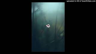 Little Thing ( DST )- Original Mix House Tropical