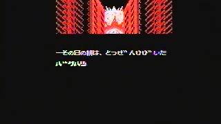 msx Craze