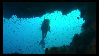 Healthy cell detoxing (Episode 7)