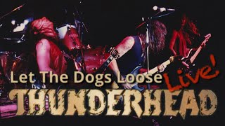 Thunderhead - Let The Dogs Loose (Live) 1992 Tokyo Japan
