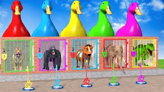 Long Slide Game With Cow Elephant Gorilla Hippopotamus Tiger - 3d Animal Game - Funny 3d Animals
