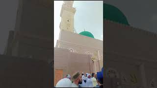 live in Madina