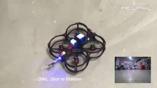 FlexRC OWL Storm Edition FPV Racer - HeliPal.com