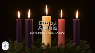 Gospel Alleluia (Emmanuel) | #choir #lyrics #advent