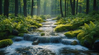 🔴Soothing Nature Sounds to Heal the Heart🌿Deep Stress Relief with Birdsong & River Flow