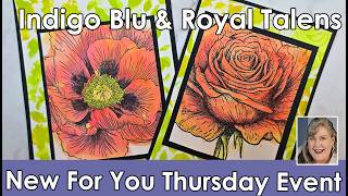 IndigoBlu & Royal Talens featured in New for You Thursday Event. We make 2 Easy cards. All on Sale
