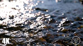 Healing Water Stream Sounds 🌊✨ Relaxing Nature Ambience for Sleep and Meditation, 4K