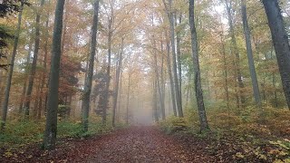 "Indian Summer" - written and played by Casey Crosby