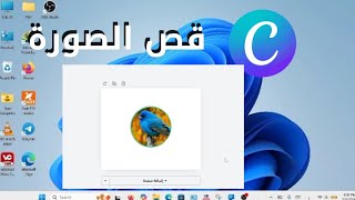 كيفية قص الصورة إلى دائرة في Canva 