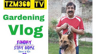 HOME GARDEN VLOG