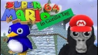 Super Mario in gorilla tag!!! (Custom Maps)