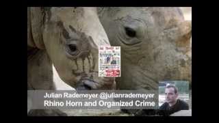 Rhino Horn and Organized Crime: Behind the Schemes, Episode 15