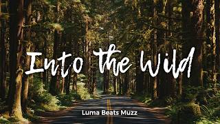Into the Wild | Cozy Acoustic Indie Folk