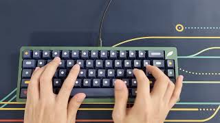 FoxLab Leaf65 타건