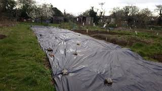 Allotment plot 16 update 03.04.2020