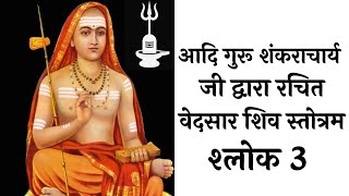 वेदसार शिव स्तोत्र तृतीय श्लोक(नीचे अवश्य पढ़ो) Adi Shankaracharya