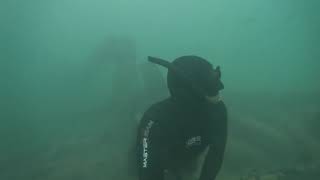 12 November 2024 spearfishing Brighton
