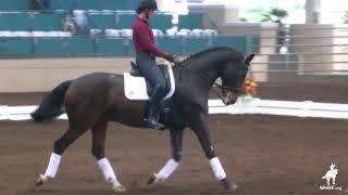 Half Circles and Reverse Exercise