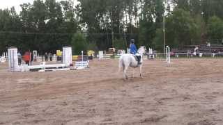 Bystry Artukainen 100