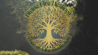 🌳 Tree of Life 🌳 ~ Guided Meditation ~ Divine Fire Healings