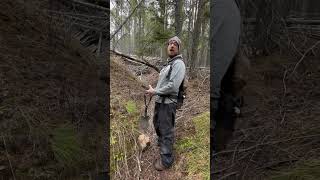 Hiking to SPIDER MINE! PT.4 @406miner7 &@prospecting406 #viral #gold #youtube #history #fyp
