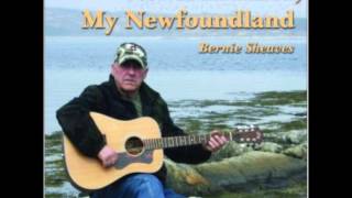 On The Internet - Bernie Sheaves