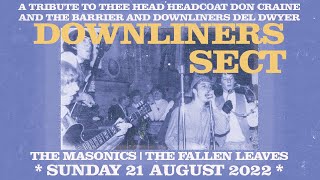 The Fallen Leaves - Rosalina - Live at The Tribute to Don Craine, Half Moon Putney - 21/08/2022