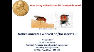 How many Nobel Prizes did Drosophila won till 2020