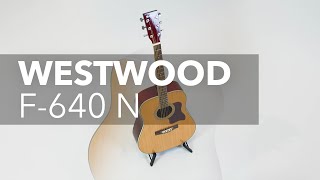Guitare folk pour débutant Westwood F-640 N