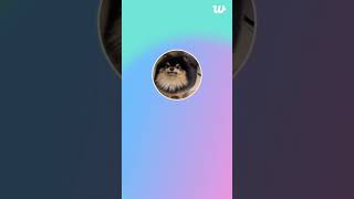 [ENG SUB] V  TAEHYUNG WEVERSE LIVE (2023.10.05) TAEHYUNG LIVE